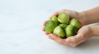 Fresh green gooseberries held in cupped hands against white background, perfect for food, nutrition, and healthy eating concepts.