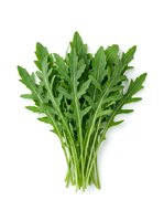 Fresh arugula bunch isolated on white background, ready for culinary design, food packaging, restaurant menus, and healthy eating content.