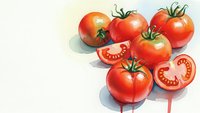Fresh red tomatoes with green stems and sliced pieces showing seeds, watercolor style illustration on white background for culinary designs.
