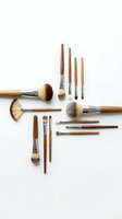 Makeup brushes with wooden handles and natural bristles arranged on white background, ready for cosmetic application and beauty design projects.