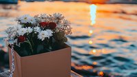 White daisies in terracotta planter against sunset water background with golden bokeh lights creating romantic summer evening atmosphere on waterfront or dock.