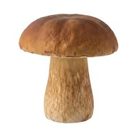 Isolated wooden mushroom with rounded cap and cylindrical stem on white background, ready for design projects, clipart, and decorative applications.