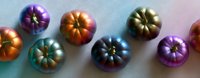 Colorful metallic heirloom tomatoes arranged in row on gradient background, showcasing vibrant purple, copper, bronze and teal tones. Fresh organic produce styling.