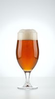 Fresh amber beer with creamy foam head in elegant glass goblet isolated on white background for beverage advertising and restaurant menu design.