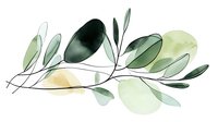 Watercolor olive branch with translucent green leaves and soft yellow circles, creating an elegant botanical illustration for wedding stationery.