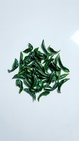 Scattered green chili peppers isolated on white background, overhead view. Fresh produce for culinary, food styling, recipe, and cooking content.