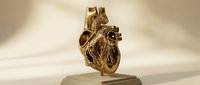 Golden anatomical heart sculpture on pedestal with dramatic lighting for medical education and luxury decor applications.