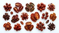 Assorted dried fruits and berries arranged on white background, including cranberries, dates, and raisins. Isolated food ingredients for culinary, nutritional, and design projects.