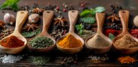 Aromatic spices and herbs in wooden spoons on dark background with star anise, peppercorns, turmeric, paprika powder and dried herbs for cooking.