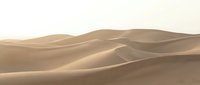 Vast desert landscape with rolling sand dunes under soft golden light, suitable for travel, nature, and background design projects.