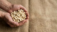 Male hand holding handful of raw cashew nuts on neutral linen fabric background. Suitable for food, nutrition, healthy eating, and ingredient sourcing content.