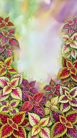 Colorful coleus foliage with vibrant red, pink, yellow and green variegated leaves arranged as a decorative border frame on soft watercolor background, suitable for greeting cards and design projects.