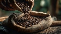Roasted coffee beans pouring from burlap sack into another sack on rustic wooden surface, showcasing fresh harvest for coffee production.