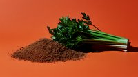 Fresh green parsley bunch next to pile of ground coffee or cocoa powder on vibrant orange background, minimalist food composition for culinary projects.