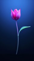 Single pink tulip flower with green leaf against dark blue background, illuminated with dramatic lighting creating ethereal glow and delicate details.