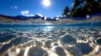 Split view of ocean surface with sun flare and palm trees silhouettes above waterline, crystal clear rippling water with light reflections and bokeh effects below.