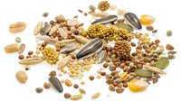 Mixed nuts seeds and grains scattered on white background including sunflower seeds pumpkin seeds almonds walnuts peanuts lentils chickpeas for healthy snacking cooking.