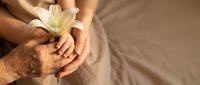 Elderly hands gently holding white lily flower symbolizing care, compassion and remembrance in soft natural lighting for sympathy and memorial concepts.