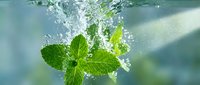 Fresh mint leaves splashing into clear water with bubbles and droplets creating dynamic motion for beverage and wellness concepts.
