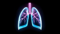 Glowing neon lungs with bronchial tree structure on black background, showing detailed respiratory system anatomy in vibrant blue and pink colors. Medical concept.