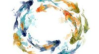 Watercolor koi fish swimming in circular pattern with vibrant blue orange green splashes on white background for Asian zen meditation design projects.