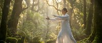 Young Asian woman practicing tai chi in peaceful forest setting with golden sunlight filtering through trees creating serene morning meditation atmosphere.