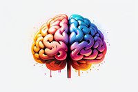Colorful artistic brain illustration showing left and right hemispheres in vibrant gradient colors from orange to purple with paint drip effect on white background.