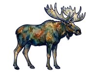 Majestic moose with large antlers standing in profile, featuring watercolor-style coat in blue, green, and rust tones. Isolated wildlife illustration for design projects.