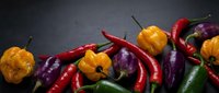 Colorful hot chili peppers variety including red, orange, purple and green peppers arranged on dark slate background for culinary cooking and spice concepts.