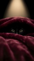 Black cat hiding under burgundy blanket with glowing eyes peeking out in dramatic lighting for cozy home and pet care concepts.