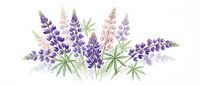 Watercolor lupine flowers in purple and pink hues with green leaves on white background, botanical floral arrangement for spring garden designs.