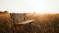 Weathered wooden bench sits abandoned in golden dried grass field during sunset, evoking solitude and contemplation in rural landscape.