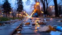 Wet autumn sidewalk with fallen leaves reflecting evening city lights and bokeh effect, creating moody atmospheric urban scene at dusk after rain.