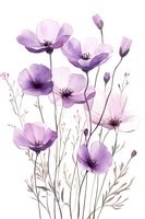 Delicate purple wildflowers with soft petals and stems on white background, watercolor style botanical illustration for spring decor and feminine designs.