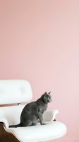 Gray tabby cat sitting on white modern chair against soft pink background, suitable for pet care, furniture, and lifestyle design projects.