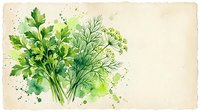 Fresh green herbs bouquet with parsley and dill painted in watercolor style on aged paper background with copy space for text.