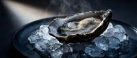 Fresh raw oyster on ice in dark plate with dramatic lighting and steam creating elegant seafood presentation for gourmet dining and culinary arts.