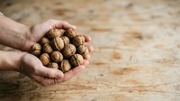 Handful of raw peanuts in shell held in open palm against wooden surface, suitable for food, nutrition, agriculture and healthy eating content.
