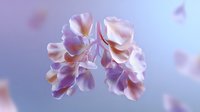 Delicate pink and purple petals forming butterfly wing shapes against soft blurred background, floating with ethereal grace in dreamy atmospheric lighting.