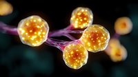 Glowing orange spherical cells connected by purple filaments on dark background, microscopic view of biological structures in scientific visualization.