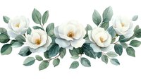 Watercolor white roses garland with sage green leaves and buds arranged in horizontal composition on white background, isolated floral design element.