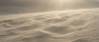 Golden sand dunes with soft ripples and warm sunlight creating dramatic shadows and highlights across desert landscape for travel and nature concepts.