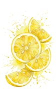 Fresh lemon slices with watercolor splash effect on white background. Citrus fruit segments with juice drops for culinary and beverage design projects.