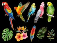 Colorful tropical parrots and exotic plants clipart set, isolated on transparent background. Great for T-shirts, stickers, print on demand, and sublimation designs.