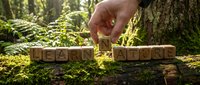 Hand placing wooden letter blocks spelling HEALTH on moss-covered forest floor with sunlight filtering through trees creating natural wellness concept.