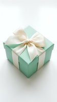 Elegant mint green gift box with cream satin ribbon bow isolated on white background for special occasions and celebrations.