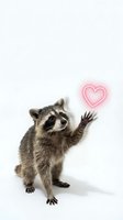 Adorable raccoon waving with glowing pink heart on white background for Valentine's Day greeting cards and romantic designs.