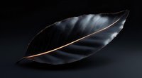 Dark metallic leaf with copper edges glows against black background, creating dramatic contrast and highlighting organic curves and natural patterns in minimalist style.