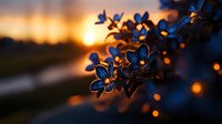 Delicate blue spring flowers silhouetted against golden sunset sky with dreamy bokeh lights creating romantic nature atmosphere for greeting cards and wall art.