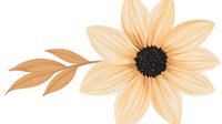 Delicate peach-colored flower with dark center and leaves on white background, botanical art element for stationery, wedding invitations and surface design.